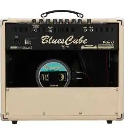 Roland BluesCUBE Stage Combo