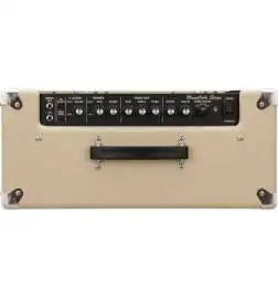 Roland BluesCUBE Stage Combo