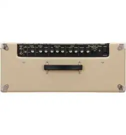 Roland BluesCUBE Artist Combo