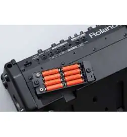 Roland Cube Street EX