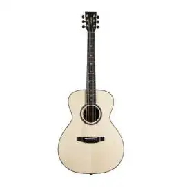 Lakewood M-32 Custom