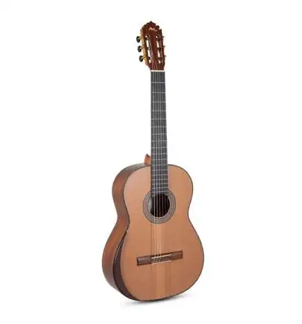 Manuel Rodriguez Magistral D-C