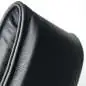 Richter Straps Strapzilla III Black