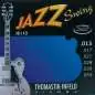 Thomastik E.-Guit.Str.,13-53,Jazz Swing Flat Wound
