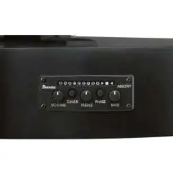 Ibanez GA621-BOT Black Out