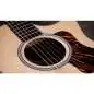 Taylor 314ce Next Generation Taylor 314ce Next Generation