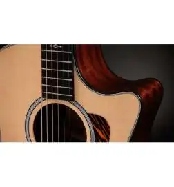Taylor 314ce Next Generation