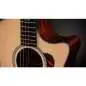 Taylor 314ce Next Generation Taylor 314ce Next Generation