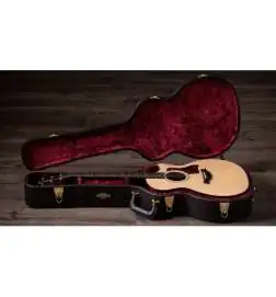 Taylor 314ce Next Generation