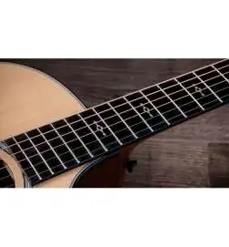 Taylor 314ce Next Generation