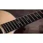 Taylor 314ce Next Generation Taylor 314ce Next Generation
