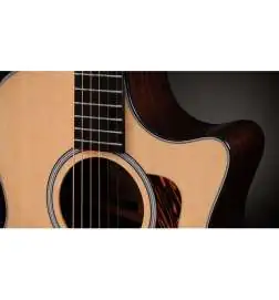Taylor 414ce Next Generation