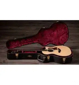 Taylor 414ce Next Generation