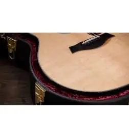 Taylor 414ce Next Generation