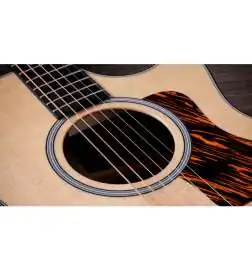 Taylor 414ce Next Generation