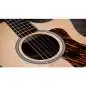 Taylor 414ce Next Generation Taylor 414ce Next Generation