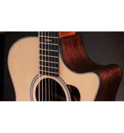 Taylor 454ce Next Generation
