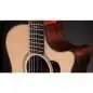 Taylor 454ce Next Generation