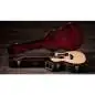 Taylor 454ce Next Generation
