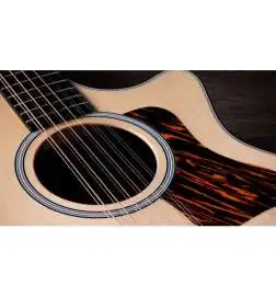 Taylor 454ce Next Generation
