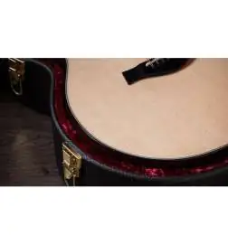 Taylor 454ce Next Generation