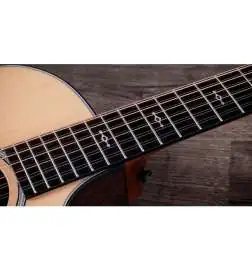 Taylor 454ce Next Generation