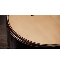 Taylor 854ce Next Generation