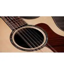 Taylor 854ce Next Generation