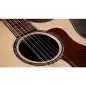 Taylor 854ce Next Generation Taylor 854ce Next Generation