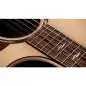 Taylor 854ce Next Generation Taylor 854ce Next Generation