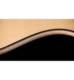 Taylor 854ce Next Generation