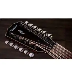 Taylor 854ce Next Generation