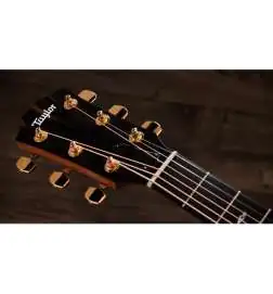 Taylor Sunset Blvd 114ce