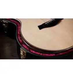 Taylor 814ce Next Generation