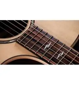 Taylor 814ce Next Generation