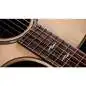 Taylor 814ce Next Generation Taylor 814ce Next Generation