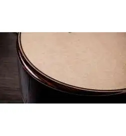 Taylor 814ce Next Generation