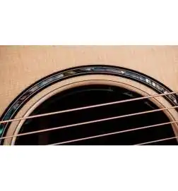 Taylor 814ce Next Generation