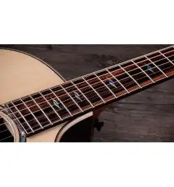 Taylor 814ce Next Generation