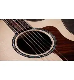 Taylor 814ce Next Generation