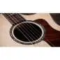 Taylor 814ce Next Generation Taylor 814ce Next Generation