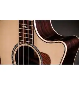 Taylor 814ce Next Generation