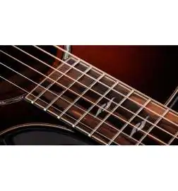 Taylor Builder s Edition 814ce Next Generation