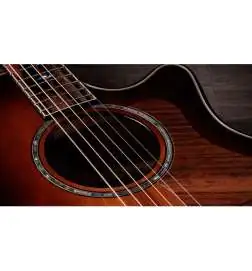Taylor Builder s Edition 814ce Next Generation