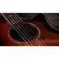 Taylor Builder's Edition 814ce Next Generation