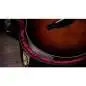 Taylor Builder's Edition 814ce Next Generation