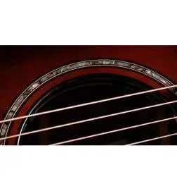Taylor Builder s Edition 814ce Next Generation