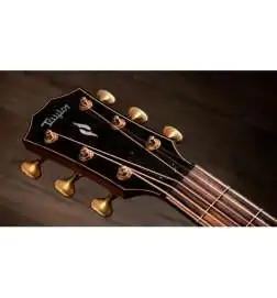 Taylor Builder s Edition 814ce Next Generation