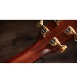 Taylor Builder s Edition 814ce Next Generation