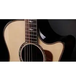 Taylor Builder's Edition 814ce Next Generation
